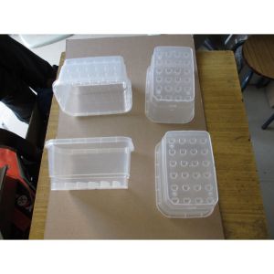 Single shot injection molding/Plant seed Box/material PP HP-740T/ Natural/