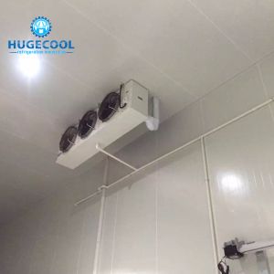 Cheap 220V/380V Modular Cold Room With Precise Automatically Temperature Control for sale