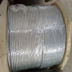 Steel Core Stainless Steel Wire Rope Cable 1*7 1*19 7*19 Galvanized Type of Core