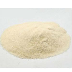 Lifeworth chocolate protein powder gold standard whey protein isolate