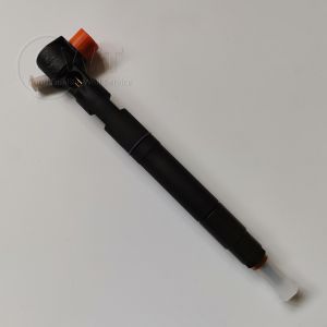 Genuine DELPHI Diesel Fuel Injectors 28489562 25183185 25195088