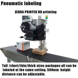 Beverage Labeling Systems with Real Time Printing and Top Side Application