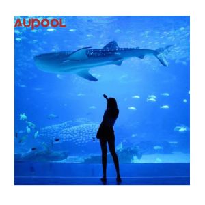 Durable Full Acrylic Pool Wall Customizable Transparent and for Outdoor Swimming
