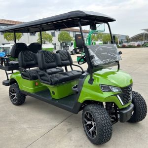 China Premium Custom Golf Cart 4 Seats High Capacity Lithium Battery For Off Road Trips on sale