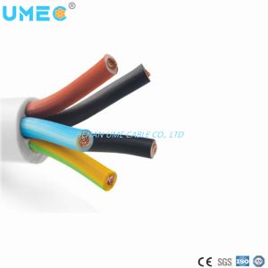 Customer Specified PVC Insulated PVC Sheathed Flexible Wire Rvv for Electrical