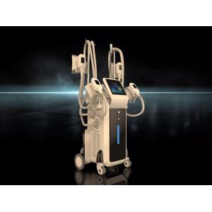 fat freezing machine / 4 cryo handles cryo fat reduction / Cryolipolysis fat freeze machine