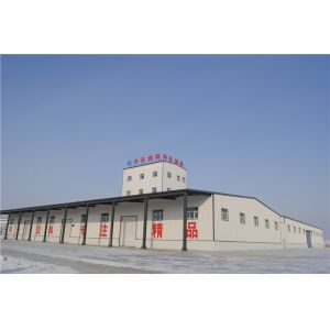 Prefabricated Steel Structure Workshop with Galvanized or Painted Finish