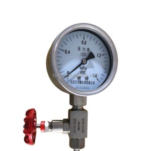 Pressure Gauge Customized Support and OEM Service with Die Cast Aluminum Case