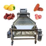 Fruit Avocado Oranges Dates Size Grading Sorting Machine Mutifunction Automatic