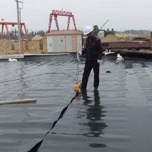 Industrial Design Style Waterproof Geomembrane Artificial Pool Fish Pond Lake