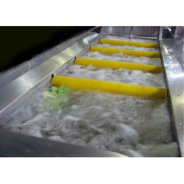 Quality Industrial Fruit And Vegetable Cleaner Machine / Washer Machine Brush Type wholesale