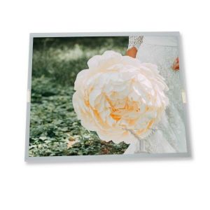 LTM10C209AF Quality Suppliers 10.4 Inch New and Original Lcd Panel 640*480 Good Price Lcd Display Screen