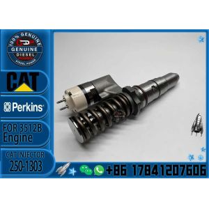 Engineering machinery Fuel Injector 250-1303 250-1311 250-1302 250-1304 250-1303