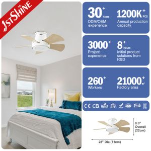 Energy Saving 28 Inch LED Ceiling Fan for Low Ceilings Metal Body and Flush