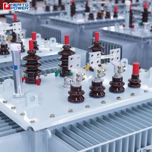 Variable Distribution Voltage Oil Immersed Transformer Step Down Mv&Hv Isolation