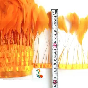Customized Stripped Coque Feather Fringe Trim with Dyed Pattern