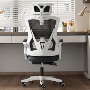 Home Office Gaming and Learning Reclining Computer Chair with Adjustable 3D