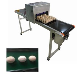 Cheap High Efficient Eggs Inkjet Coding Equipment For Expiration Date / Batch Number for sale