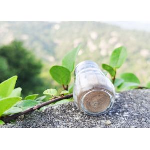 Shaker With Condiment Modern Design Glass Salt Pepper Shaker Set