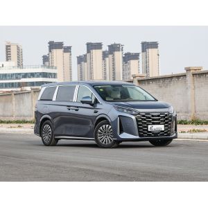 Export Fast Ship Luxury Made In China New Version Latest BYD Xia MPV New Car