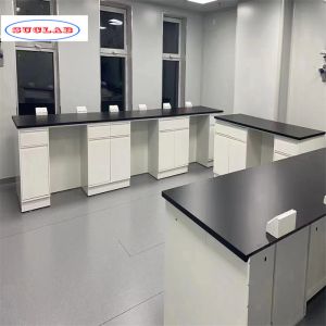 Versatile Chemistry Lab Workbench with Numerous Hooks and Compartments