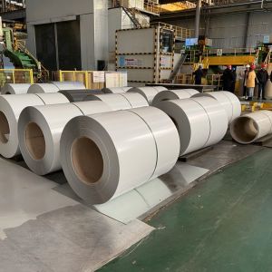 Customers Samples Color RAL Color Coated Steel Coil Ppgi SGCC DX51D Coils Coated