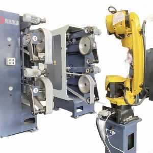 6 Sand Belt Polishing Machine 20.5KW for Metal Workpiece Surface Finishing