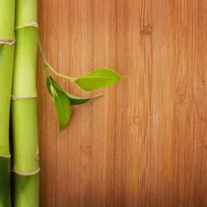 Cheap Natural Beauty Bamboo Floor Tiles 100% Bamboo Flooring For Interiors for sale