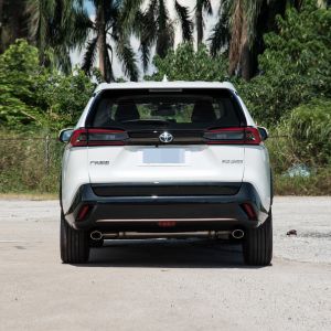 Toyota wildlander 2022 2.0L CVT 4WD Keji version Compact SUV 5 Door 5 seats SUV