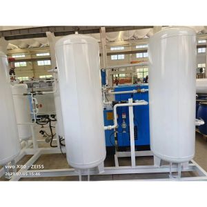 Low Energy Food Grade Modular PSA Nitrogen Generator Your Solution for Nitrogen