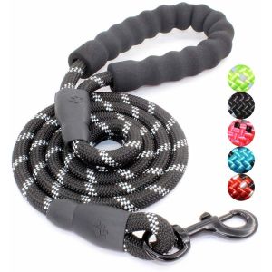 5 FT Nylon Dog Leash With Comfortable Padded Handle