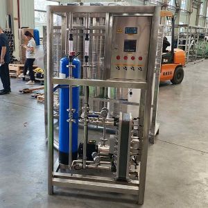 Cheap 0.5T/Hour Productivity High Speed Water Purification Equipment With Compact Structure for sale