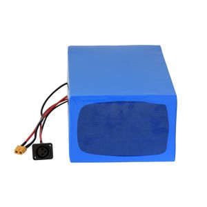 Deep Cycle 48V 25Ah Rechargeable Lithium Battery Packs