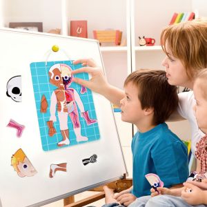 My Body Interactive Educational Puzzle For Toddlers And Kids