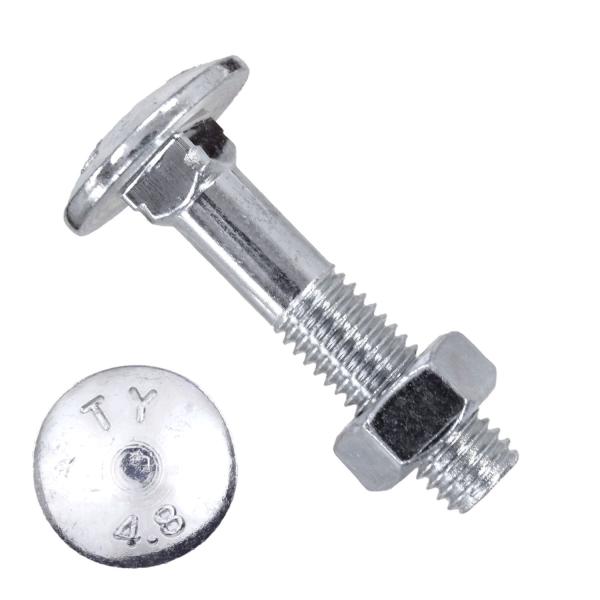 Top Seller M5 - M48 Brass Fine Thread Countersunk Carriage Bolts