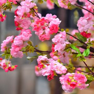 250cm Plastic Artificial Cherry Blossom Tree Decoration Plant For Reception