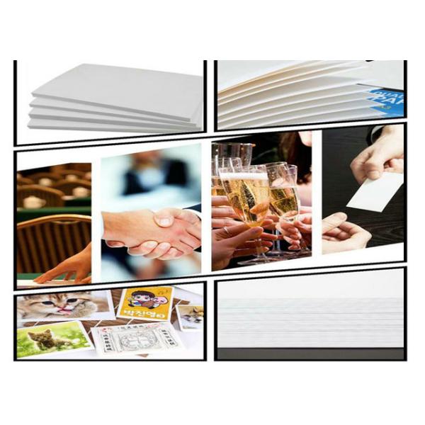 100% Virgin Wood Pulp Solid Bleached Sulphate Board 230gsm - 400gsm FDA Certificate