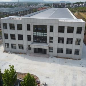 Cheap Prefab Steel Structure Building for Electronic Factory with Sandwich Panels for sale