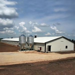 Modern Prefab Container House Luxury Custom Modular Homes 20ft 40ft