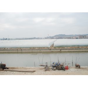 China Efficient Single Span Greenhouse Strong Adaptability Suitable For Cultivation on sale