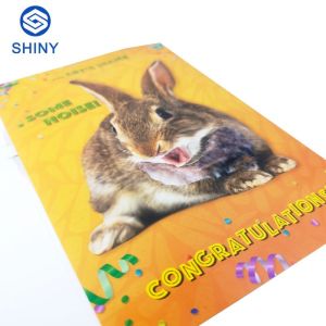 Popular Voice Record Music Greeting Card With Full 4C Color Printing