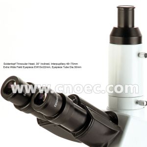 Infinity Trinocular BF / DF DIC Metallurgical Optical Microscope Halogen Light