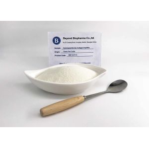 Bovine Origin Collagen Peptides Type 1 And 3 For Sports Muscle Recovery