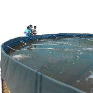 Waterproof Geomembrane HDPE Pond Liner for Shrimp Farming Easy to Install and