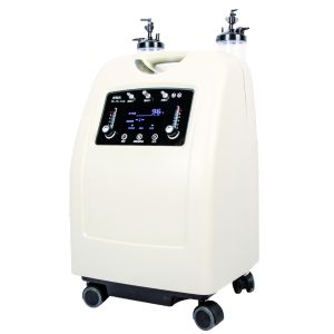 Cheap Hot sale Medical 10L Household double flow oxygen generator &amp; home use Oxygen Concentration for sale