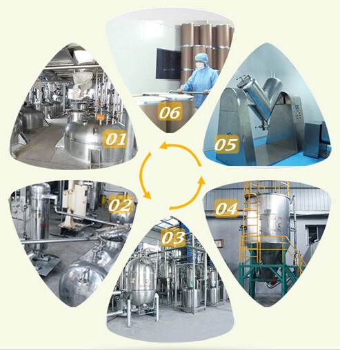 Wholesale Fenugreek Seeds Extract Powder 20% 4-hydroxyisoleucine