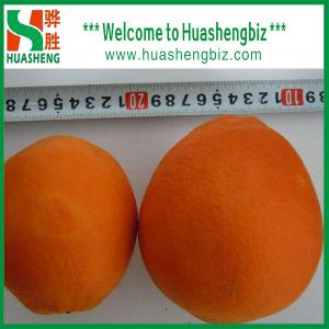 China 2016 Best Quality Navel orange on sale