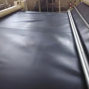 HDPE Geomembrane Fish Pond Liner 0.5mm 1mm 2mm for Modern Landfill Sites Design