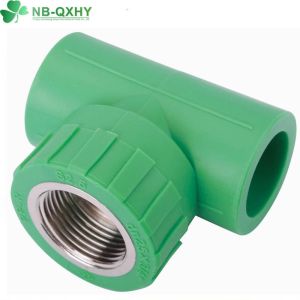 China Good Round Head Code PPR Male Coupling/Male Tee Pipe Fittings for Welding Connection on sale