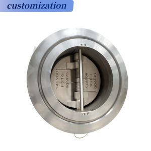 Swing Check Valve Ansi Wcb Drain Valve with Customized Port Size